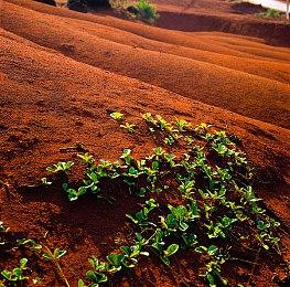 《神领编年史》发售日宣传片公开 游戏将于9月22日推出