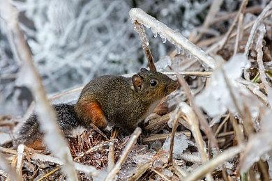 VR续作《亚利桑那阳光2》宣布跨平台联机合作模式